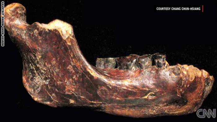 fossil